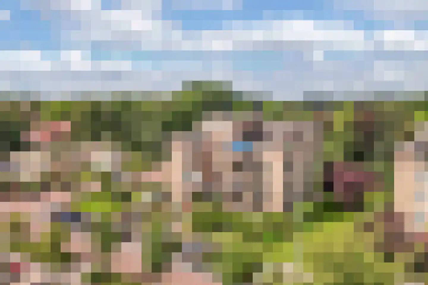 Statehof 17 Emmeloord thumbnail 4