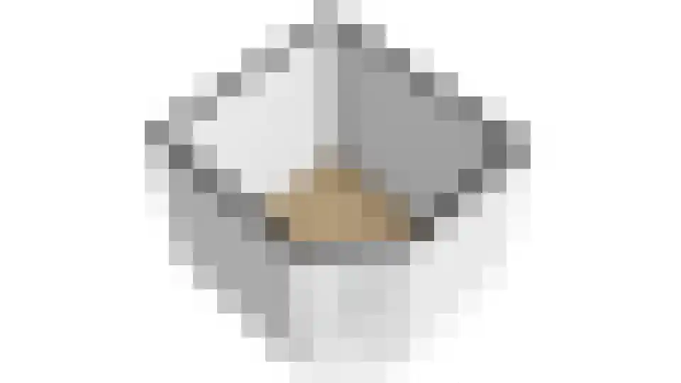 Statehof 17 Emmeloord thumbnail 41