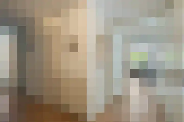 Statehof 36 Emmeloord thumbnail 14