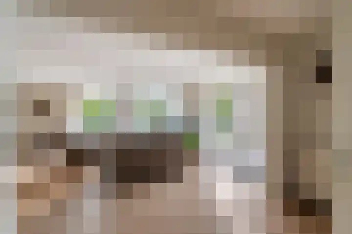 Statehof 36 Emmeloord thumbnail 16