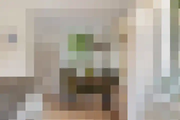 Statehof 36 Emmeloord thumbnail 20
