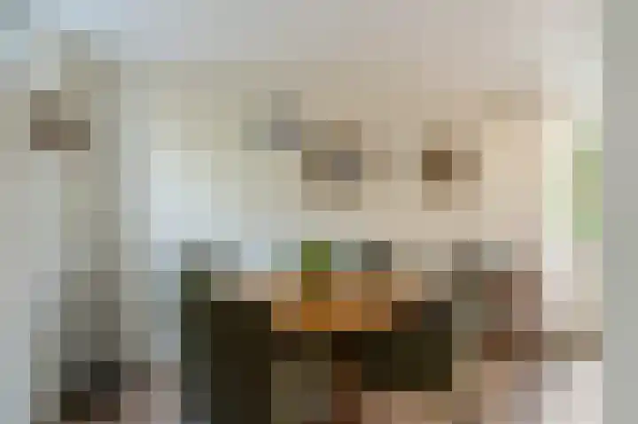 Statehof 36 Emmeloord thumbnail 23