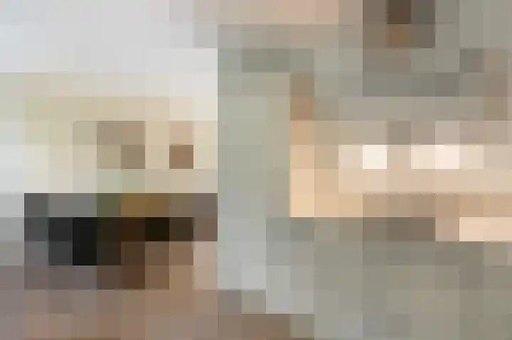 Statehof 36 Emmeloord thumbnail 25