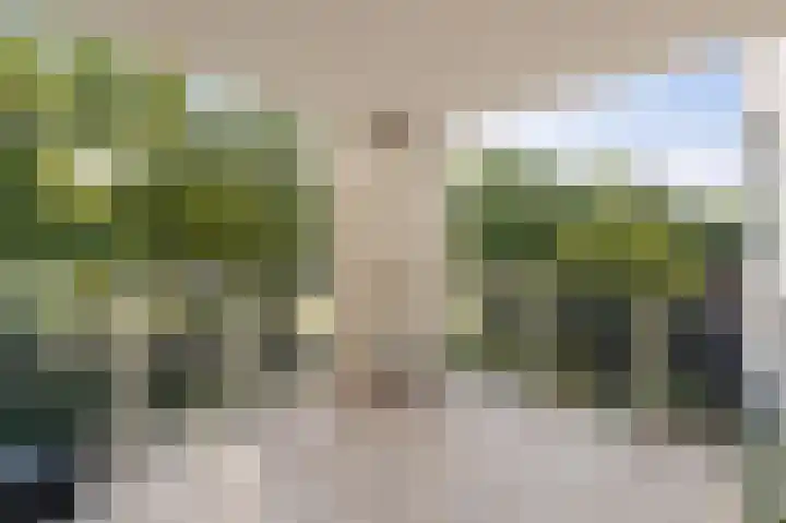 Statehof 36 Emmeloord thumbnail 4