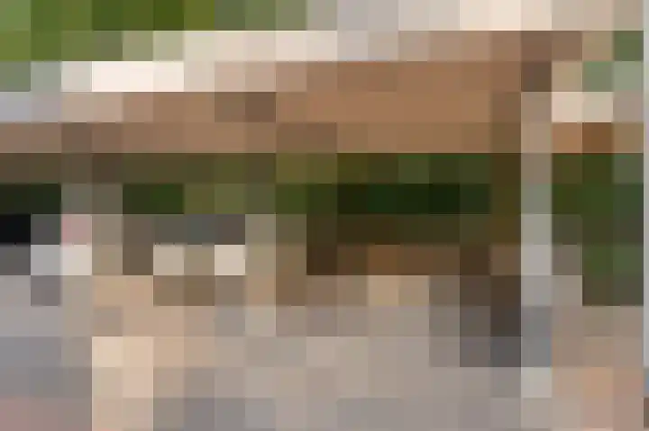 Statehof 36 Emmeloord thumbnail 42