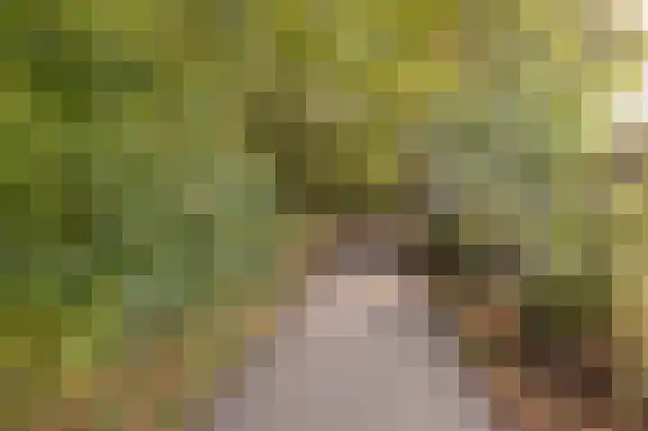 Statehof 36 Emmeloord thumbnail 48