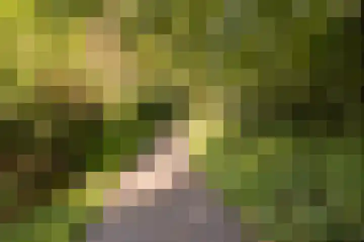 Statehof 36 Emmeloord thumbnail 49