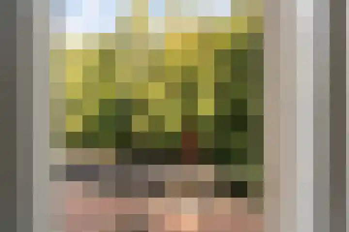 Statehof 36 Emmeloord thumbnail 8
