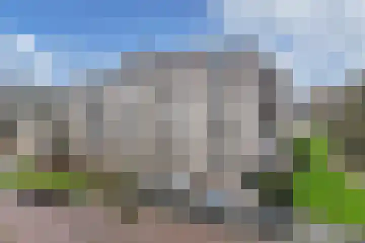 Statehof 53 Emmeloord thumbnail 10