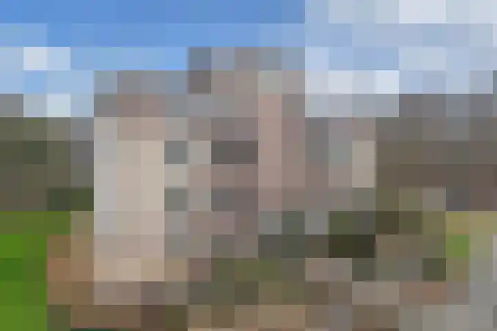 Statehof 53 Emmeloord thumbnail 11