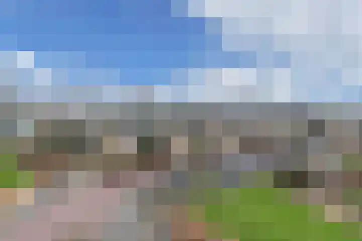 Statehof 53 Emmeloord thumbnail 27
