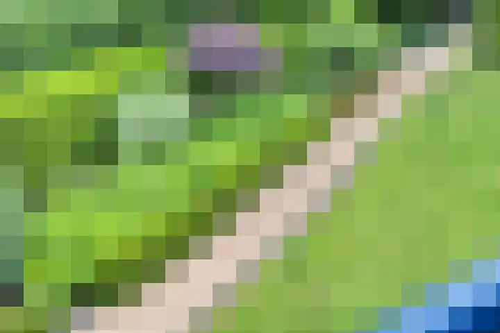 Statehof 55 Emmeloord thumbnail 29