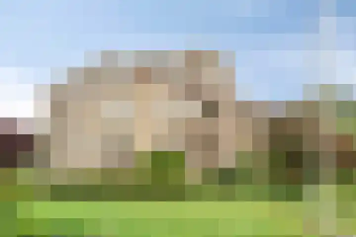 Statehof 55 Emmeloord thumbnail 34