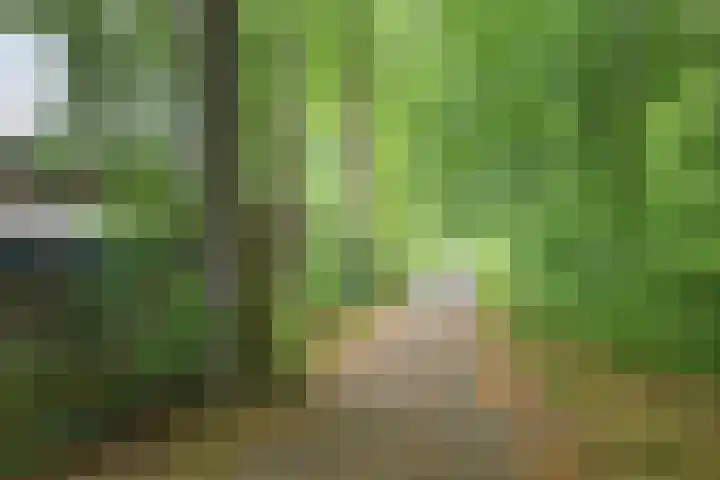 Statehof 55 Emmeloord thumbnail 35