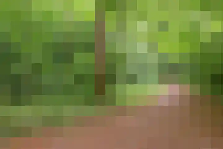 Statehof 55 Emmeloord thumbnail 36
