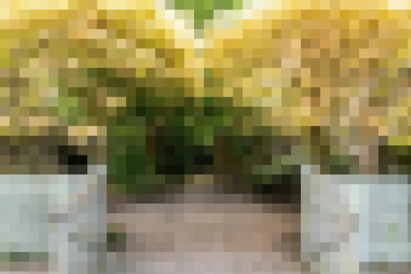 Statenbocht 10 Sneek thumbnail 17