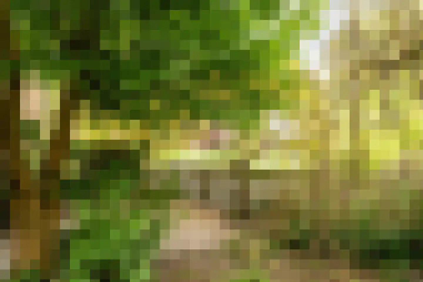 Statenbocht 10 Sneek thumbnail 19