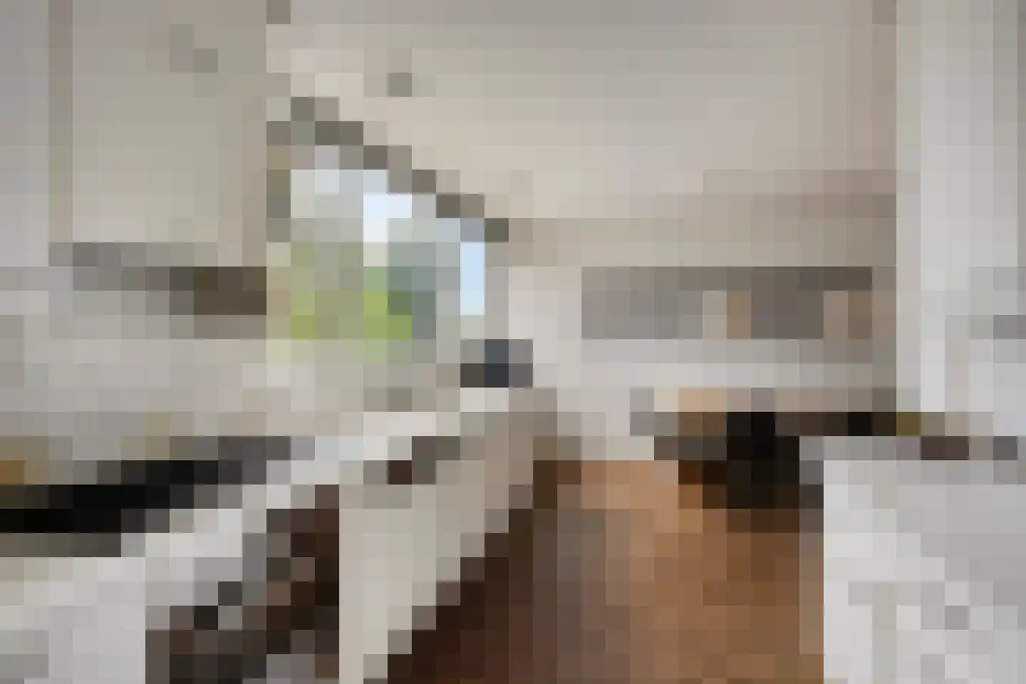 Statenbocht 2 Sneek thumbnail 24