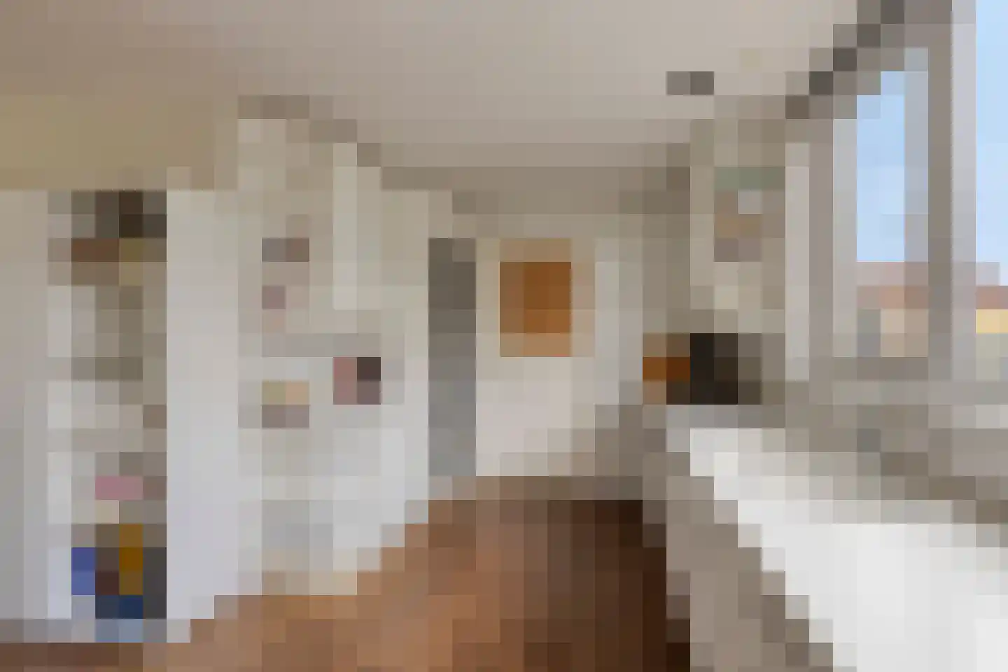 Statenbocht 2 Sneek thumbnail 25