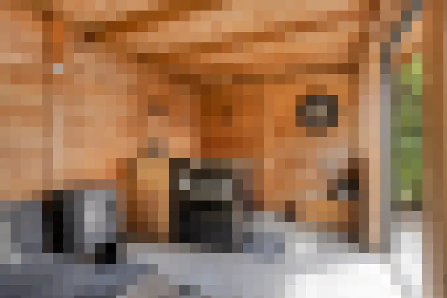 Statenbocht 2 Sneek thumbnail 43