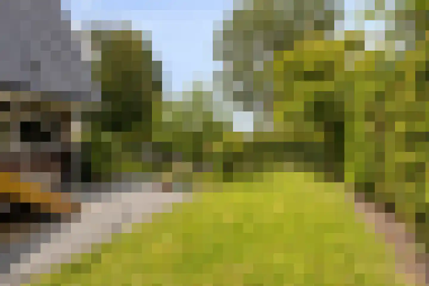 Statenbocht 2 Sneek thumbnail 44