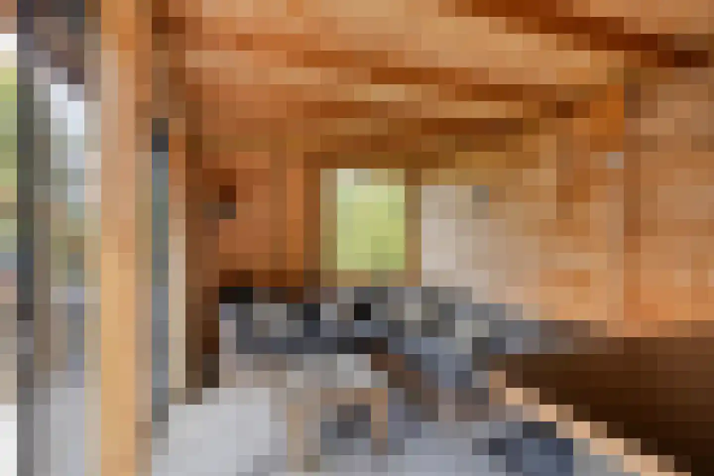 Statenbocht 2 Sneek thumbnail 6