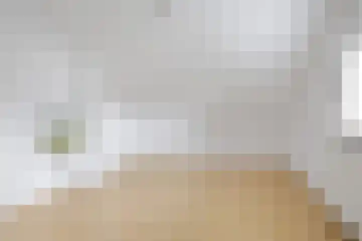 Statenbocht 6 Sneek thumbnail 20