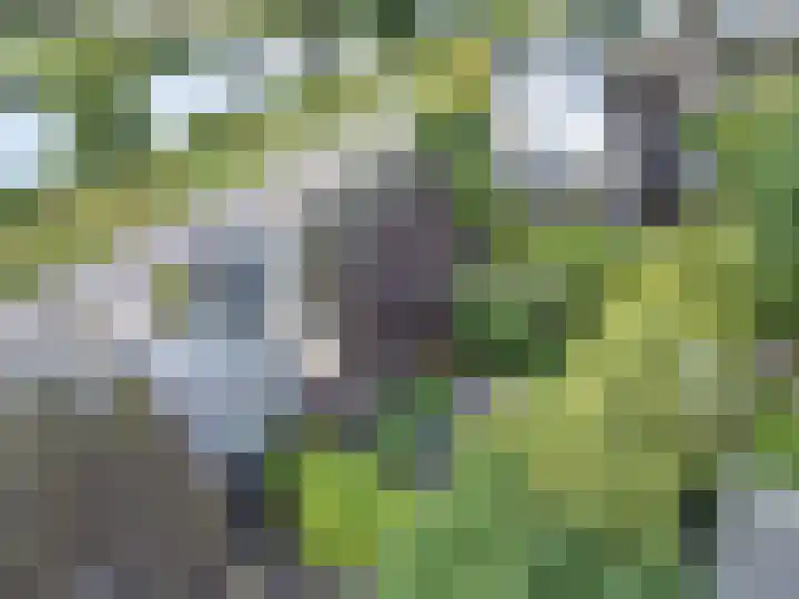 Statenbocht 6 Sneek thumbnail 36