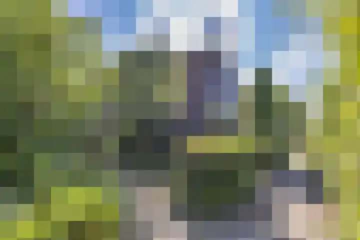 Statenbocht 6 Sneek thumbnail 37