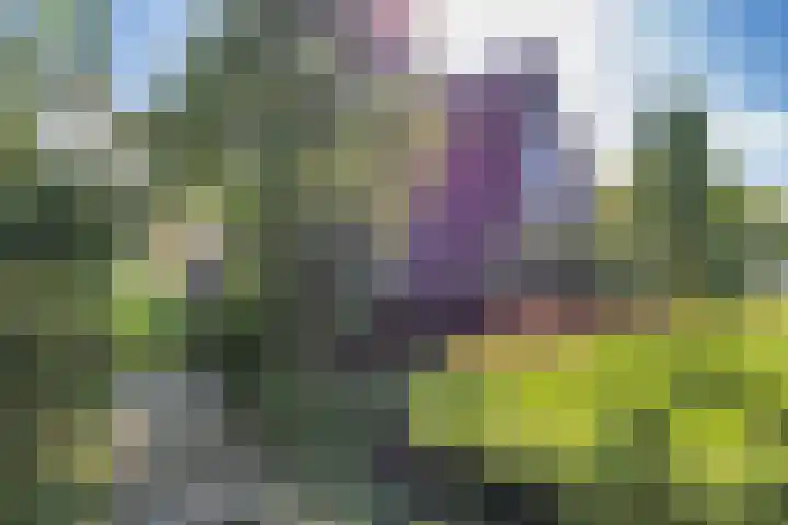 Statenbocht 6 Sneek thumbnail 38