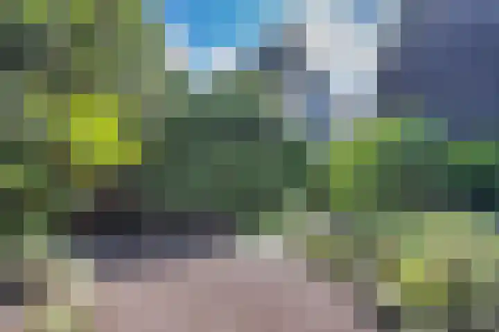 Statenbocht 6 Sneek thumbnail 39