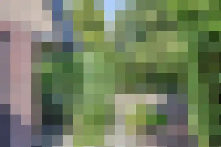 Statenbocht 6 Sneek thumbnail 40