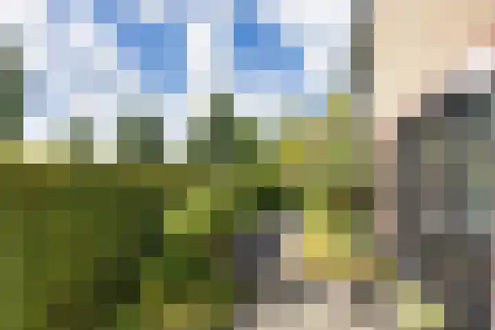 Statenbocht 6 Sneek thumbnail 44
