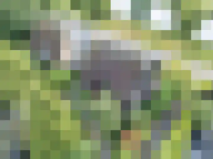 Statenbocht 6 Sneek thumbnail 5