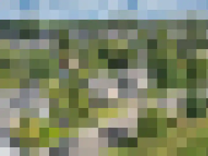 Statenbocht 6 Sneek thumbnail 50