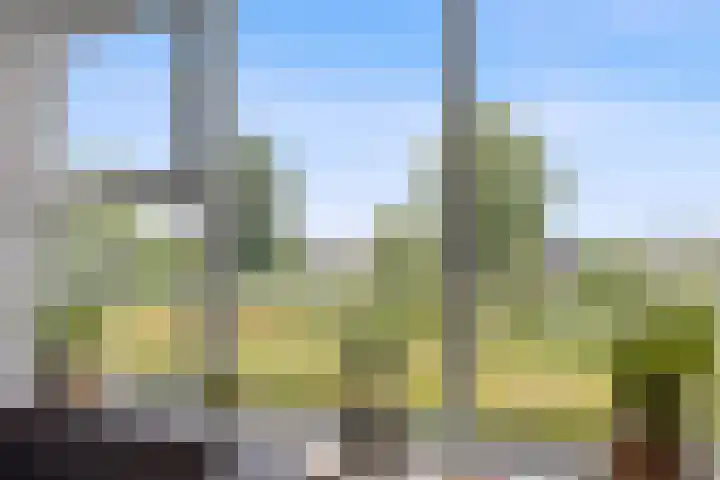 Statenbocht 6 Sneek thumbnail 6