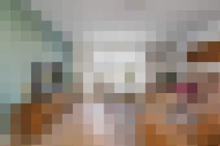 Statendaalder 1 Boxtel thumbnail 11