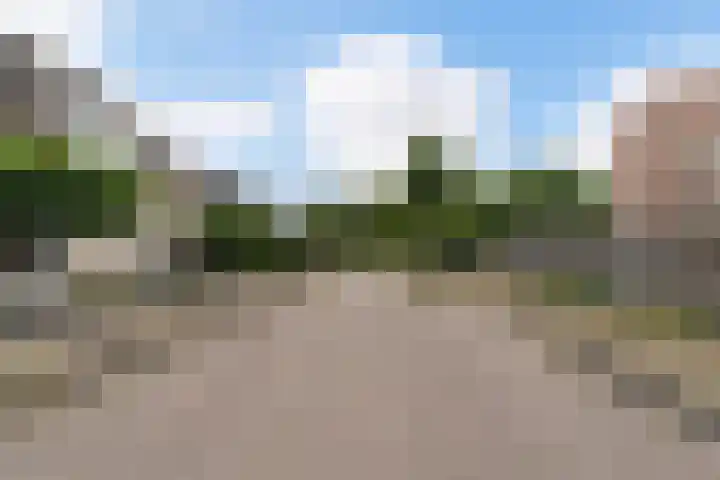 Statendaalder 1 Boxtel thumbnail 4