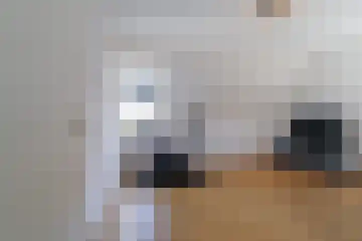 Statendaalder 1 Boxtel thumbnail 41