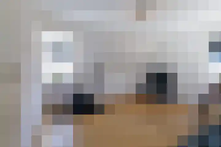 Statendaalder 1 Boxtel thumbnail 42