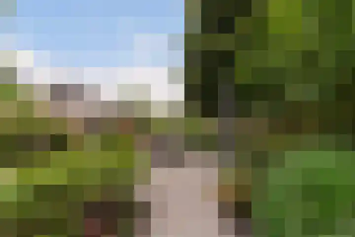 Statendaalder 1 Boxtel thumbnail 53