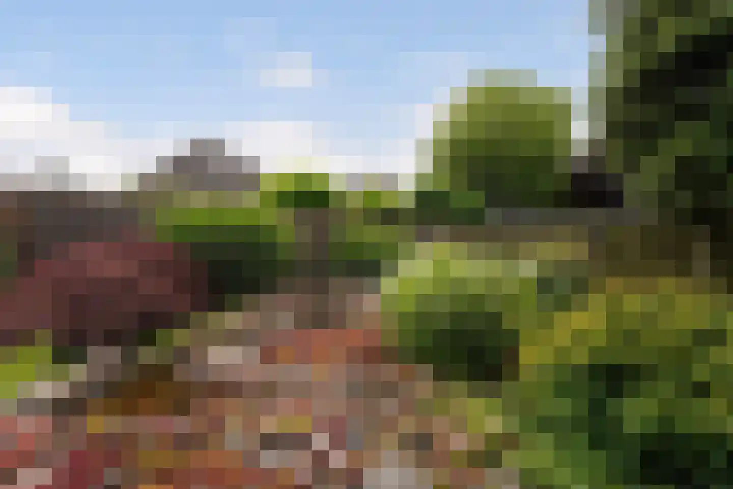 Statendaalder 1 Boxtel thumbnail 55