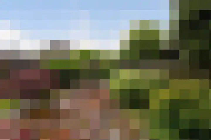 Statendaalder 1 Boxtel thumbnail 55