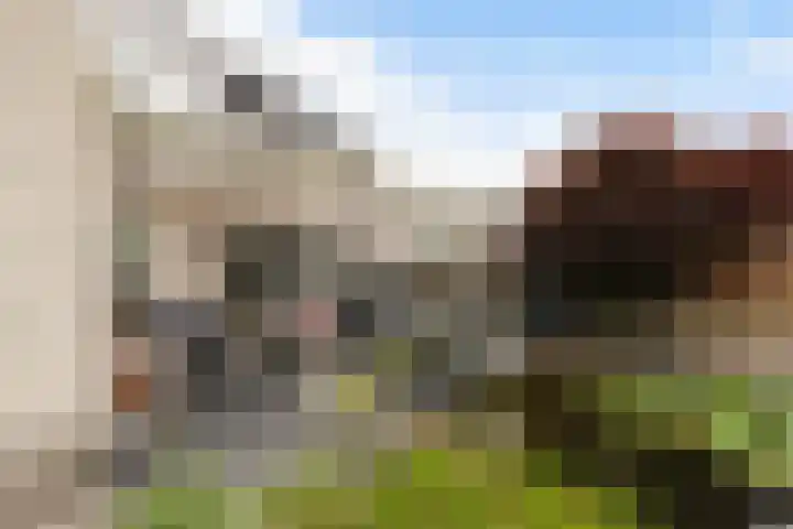 Statendaalder 1 Boxtel thumbnail 58
