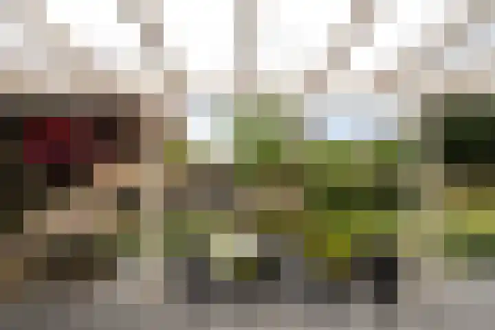 Statendaalder 1 Boxtel thumbnail 60