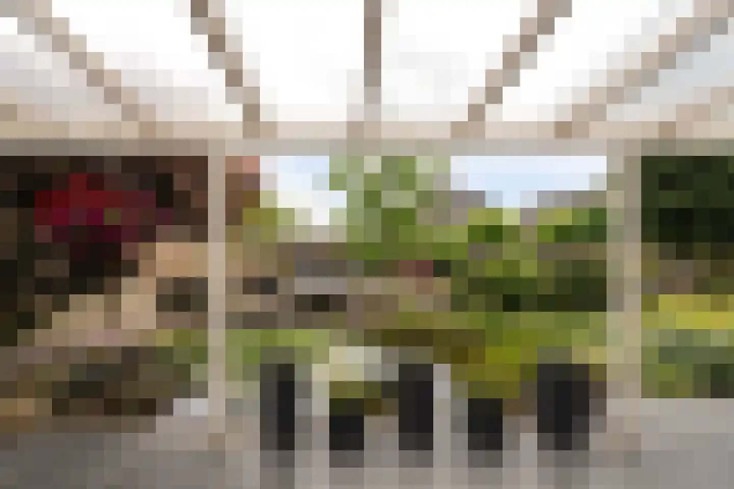 Statendaalder 1 Boxtel thumbnail 60