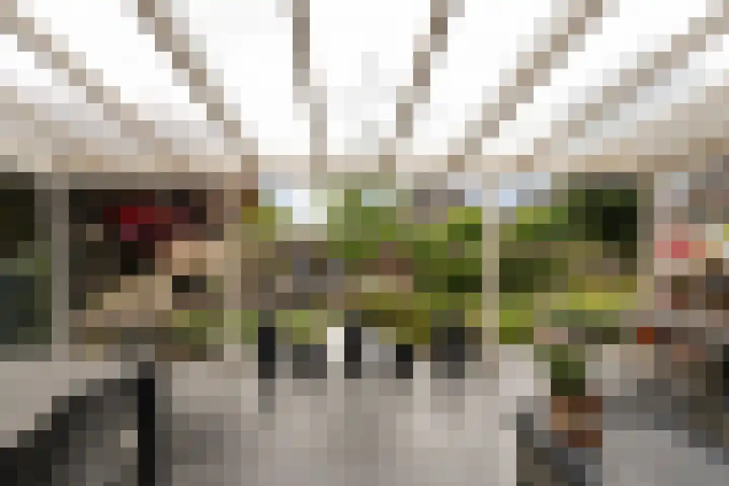 Statendaalder 1 Boxtel thumbnail 61