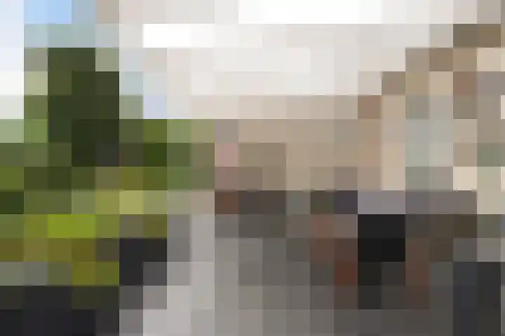 Statendaalder 1 Boxtel thumbnail 62