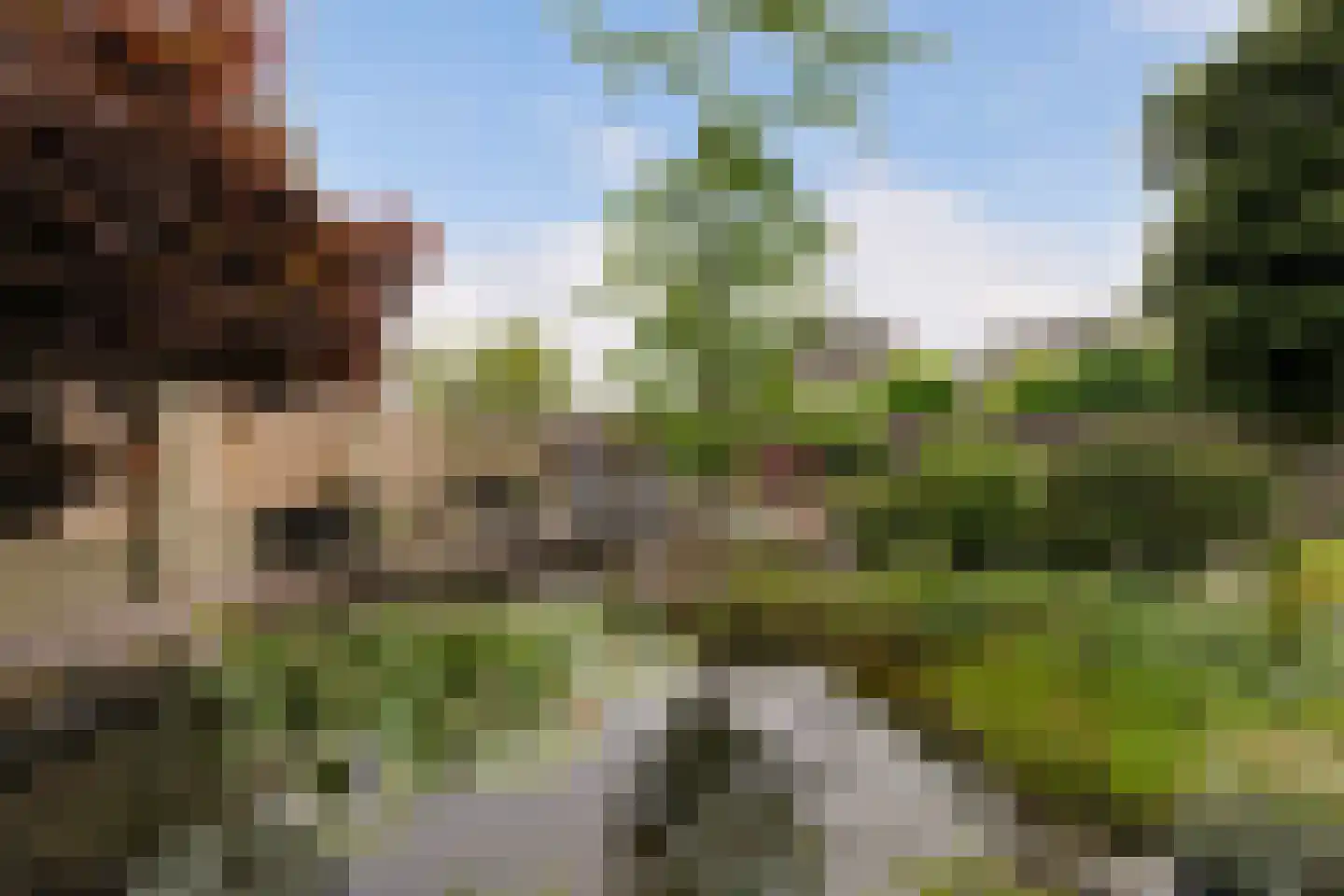 Statendaalder 1 Boxtel thumbnail 64