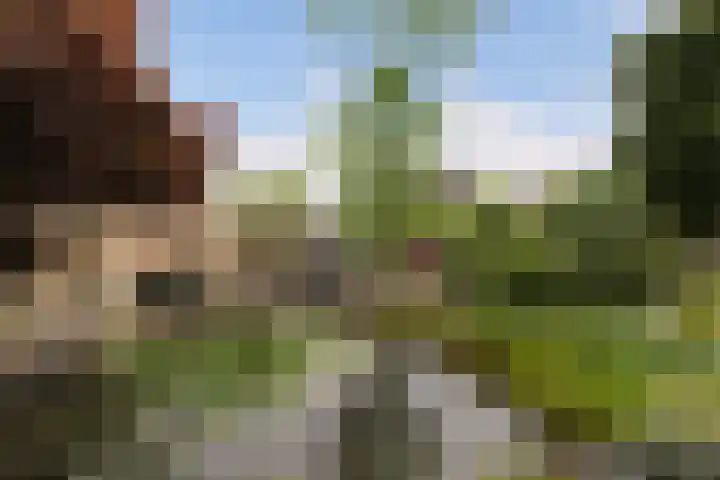 Statendaalder 1 Boxtel thumbnail 64
